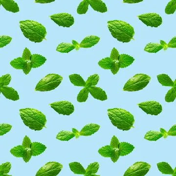 Seamless pattern of fresh mint leaves on blue background Stock Photos