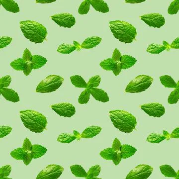 Seamless pattern of fresh mint leaves on green background Foto stock