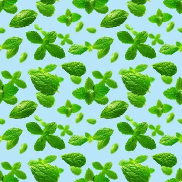 Seamless pattern of fresh mint leaves on blue background Foto stock