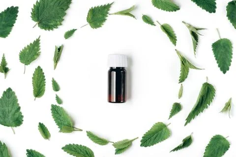 Seamless pattern of fresh nettle, peppermint and Bottle of essential oil Stock Photos