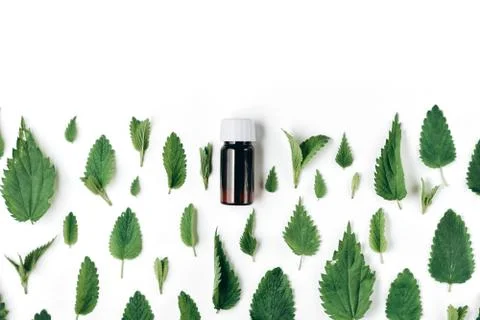 Seamless pattern of fresh nettle, peppermint and Bottle of essential oil Stock Photos