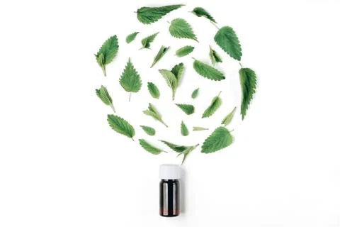 Seamless pattern of fresh nettle, peppermint and Bottle of essential oil Stock Photos