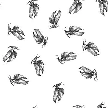 Seamless pattern fresh pea sketch hand drawn Stock Illustration
