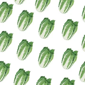 Seamless pattern of fresh Peking cabbage icon. Cabbage for the farmer's market Stock Illustration