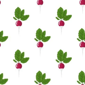 Seamless pattern with fresh radish vegetable. Organic food. Vector illustration. Stock Illustration