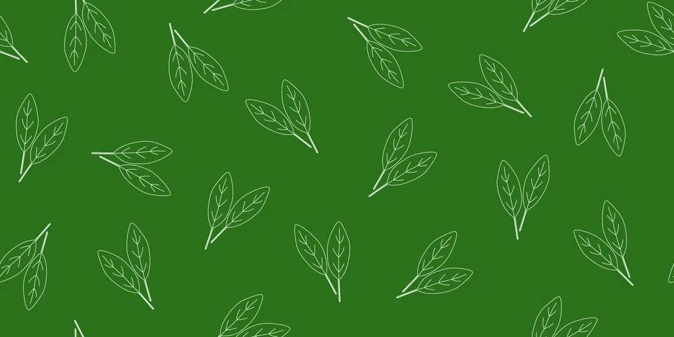 Seamless pattern with fresh spinach leaves outlines on dark green background Stock Illustration
