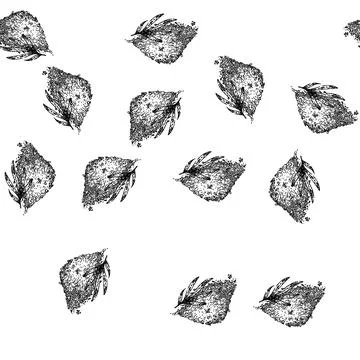 Seamless pattern fresh tarragon sketch hand drawn 스톡 일러스트