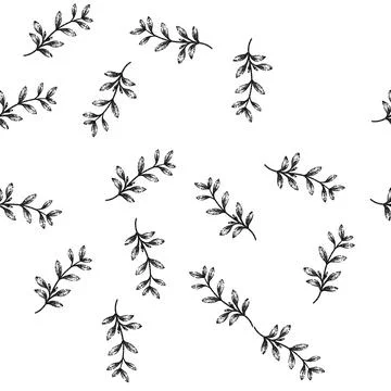 Seamless pattern fresh thyme leaf sketch hand drawn Stock Illustration