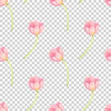 Seamless pattern with fresh tulips. Spring pink flowers, hand-draw in watercolor Stock Illustration