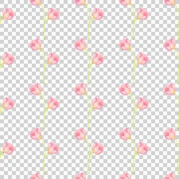 Seamless pattern with fresh tulips. Spring pink flowers, hand-draw in watercolor Stock Illustration