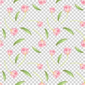 Seamless pattern with fresh tulips. Spring pink flowers, hand-draw in watercolor Illustrazione stock