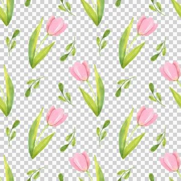 Seamless pattern with fresh tulips. Spring pink flowers, hand-draw in watercolor Stock Illustration