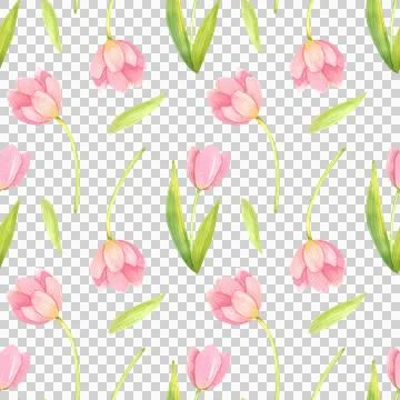 Seamless pattern with fresh tulips. Spring pink flowers, hand-draw in watercolor Illustrazione stock
