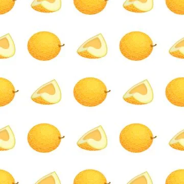 Seamless pattern with fresh whole and cut slice melon fruit on white backgrou Illustrazione stock