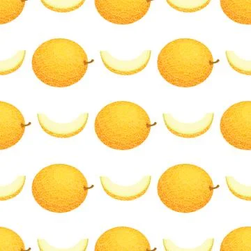 Seamless pattern with fresh whole and cut slice melon fruit on white backgrou Stock Illustration