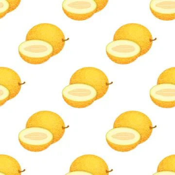 Seamless pattern with fresh whole and half melon fruit on white background. H イラスト素材