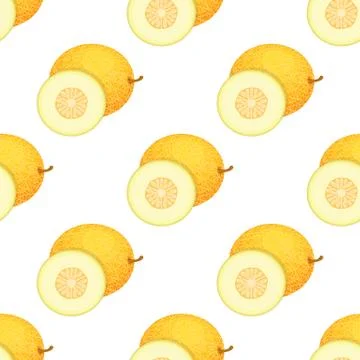Seamless pattern with fresh whole and half melon fruit on white background. H 库存插图