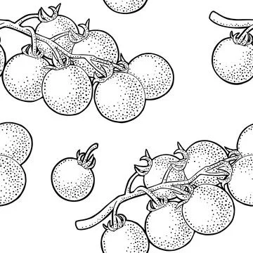 Seamless pattern fresh whole and branch tomato. Isolated on the white backgro 스톡 일러스트