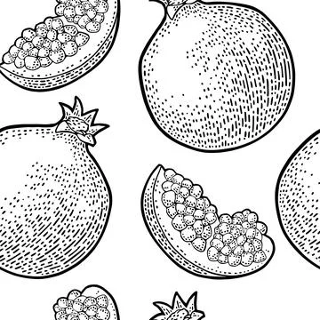 Seamless pattern fresh whole and slice garnet. Isolated on white イラスト素材