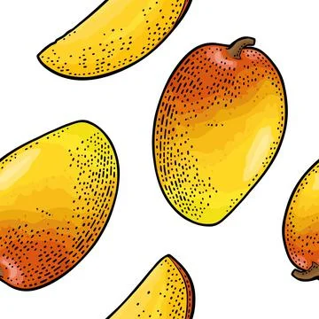 Seamless pattern fresh whole and slice mango. Isolated on white Stock Illustration