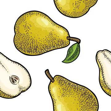 Seamless pattern fresh whole and slice pear. Isolated on white Stock Illustration