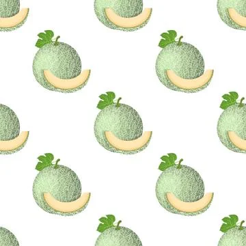 Seamless pattern with fresh whole, cut slice melon fruit isolated on white ba Stock Illustration