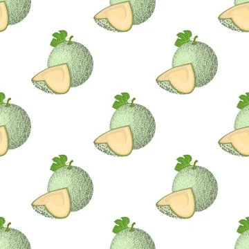 Seamless pattern with fresh whole, cut slice melon fruit isolated on white ba Stock Illustration
