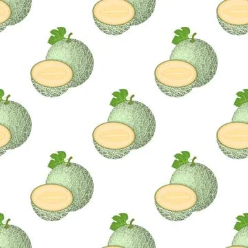 Seamless pattern with fresh whole, half melon fruit isolated on white backgro イラスト素材