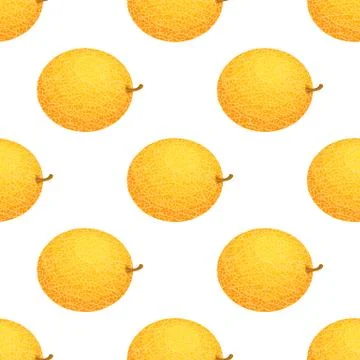 Seamless pattern with fresh whole melon fruit on white background. Honeydew m 库存插图