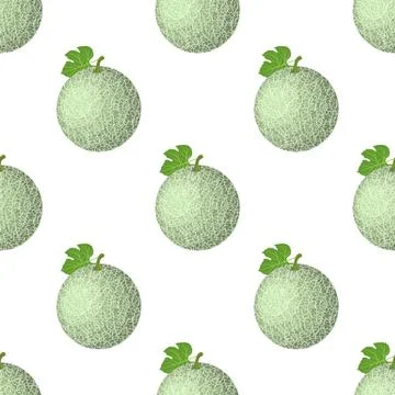 Seamless pattern with fresh whole melon fruit isolated on white background. C 库存插图