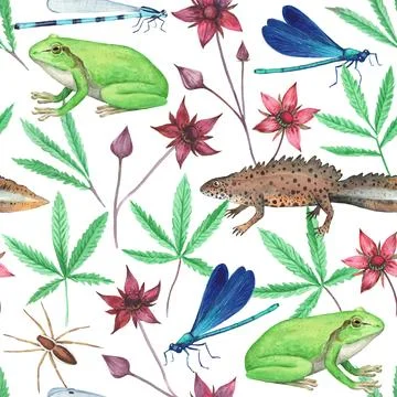 Seamless pattern with frog and marsh plants. Cinquefoil6 triton and dragonfly Illustrazione stock