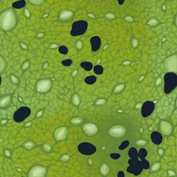 Seamless pattern frog skin green bubble illustration Stock Illustration