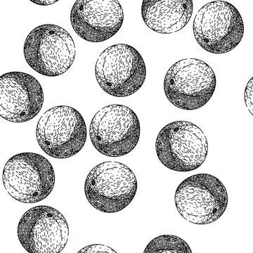 Seamless pattern fruit amla sketch hand drawn Stock Illustration