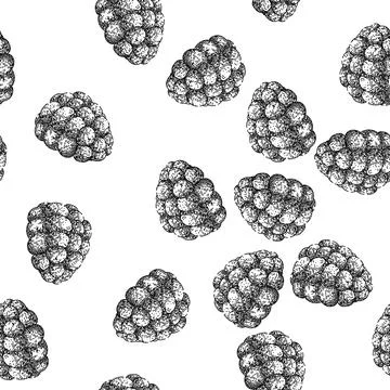 Seamless pattern fruit blackberry sketch hand drawn Stock Illustration