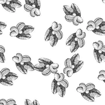 Seamless pattern fruit cashew nut sketch hand drawn Stock Illustration