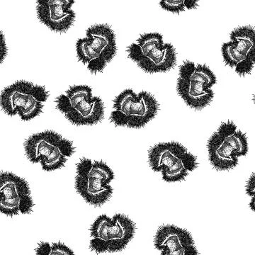 Seamless pattern fruit chestnut sketch hand drawn Illustrazione stock