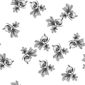 Seamless pattern fruit gooseberry sketch hand drawn Stock Illustration