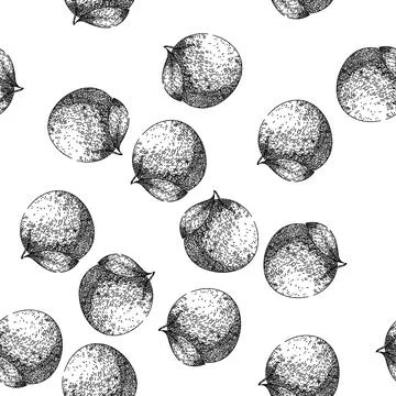 Seamless pattern fruit grapefruit red sketch hand drawn Stock Illustration