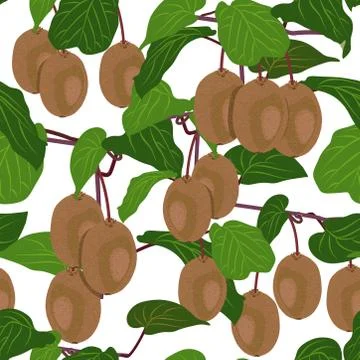 Seamless pattern fruit kiwi tree on white background, Vector illustration Illustrazione stock
