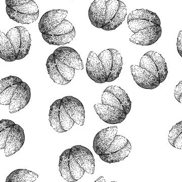 Seamless pattern fruit lychees sketch hand drawn Stock Illustration