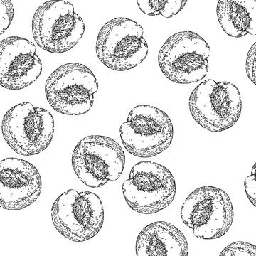Seamless pattern fruit peach sketch hand drawn Illustrazione stock
