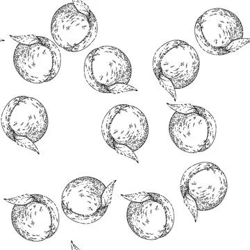 Seamless pattern fruit peach sketch hand drawn 스톡 일러스트