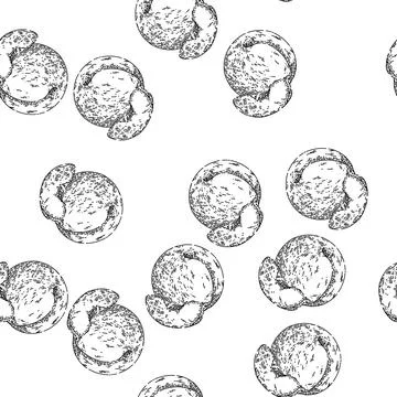 Seamless pattern fruit peach sketch hand drawn Illustrazione stock