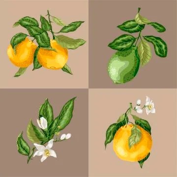 Seamless pattern with fruit tile of fruits and flowers on the branches with l Stock Illustration