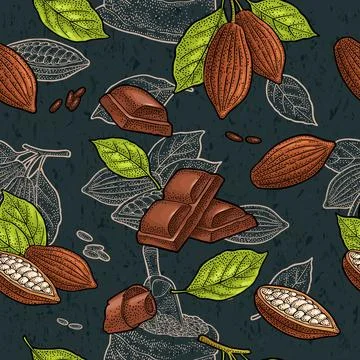 Seamless pattern fruits cocoa and piece chocolate. Vector vintage color engra Stock Illustration