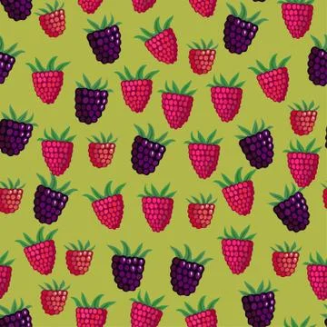 Seamless pattern with garden and wild raspberries Stockillustratie