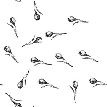Seamless pattern garden crocus sketch hand drawn 스톡 일러스트