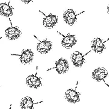 Seamless pattern garden peony sketch hand drawn Stock Illustration