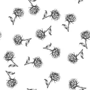 Seamless pattern garden rose flower sketch hand drawn Stock Illustration