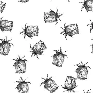 Seamless pattern garden rose sketch hand drawn Illustrazione stock
